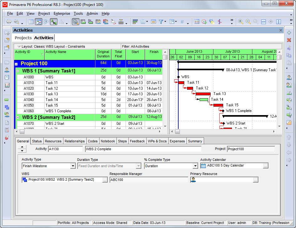 A construction schedule in Oracle Primavera P6 showing activities grouped by WBS with a Gantt chart.